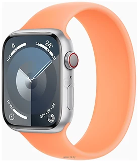 Apple Watch Series 9 LTE 45  ( ,  )