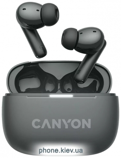 Canyon TWS-10