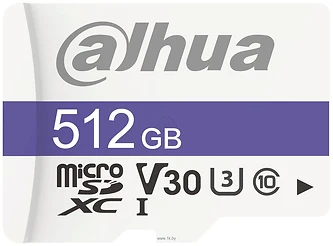 Dahua DHI-TF-C100/512GB