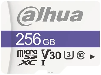 Dahua DHI-TF-C100/256GB