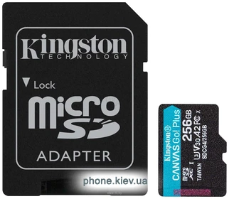 Kingston Canvas Go! microSDXC 256GB SDCG4/256GB (� ���������)
