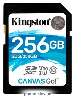 Kingston SDG/256GB