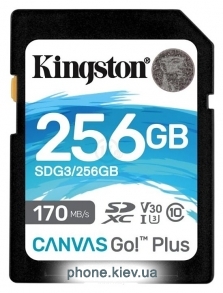 Kingston SDG3/256GB