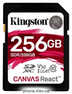 Kingston SDR/256GB