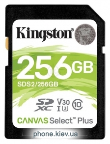 Kingston SDS2/256GB