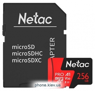 Netac NT02P500PRO-256G-R