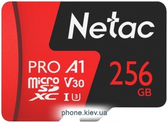 Netac NT02P500PRO-256G-S