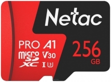 Netac NT02P500PRO-256G-S