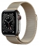 Apple Watch Series 6 GPS + Cellular 40mm Stainless Steel Case with Milanese Loop