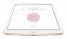 Apple iPad mini 4 64Gb Wi-Fi