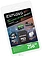 Exployd Vision microSDXC 256GB EX256GCSDXC10-U3-V30 (� ���������)