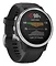 Garmin Fenix 6S