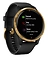 Garmin Venu