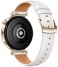 Huawei Watch GT 4 41mm ( )