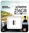 Kingston High Endurance microSDXC 256GB