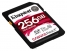 Kingston SDR/256GB