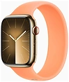 Apple Watch Series 9 45 мм (стальной корпус, силиконовый ремешок M/L)