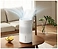 Xiaomi Smart Evaporative Humidifier CJSJSQ02XYUE (���������)