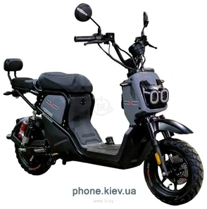 AVM.Plus Zoomer (�����)