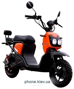 AVM.Plus Zoomer (���������)