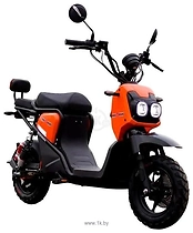 AVM.Plus Zoomer (���������)