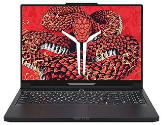 Lenovo Legion R9000P ADR10 (83LV0004CD)