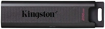 Kingston DataTraveler Max Type-C (DTMAX/256GB) 256GB